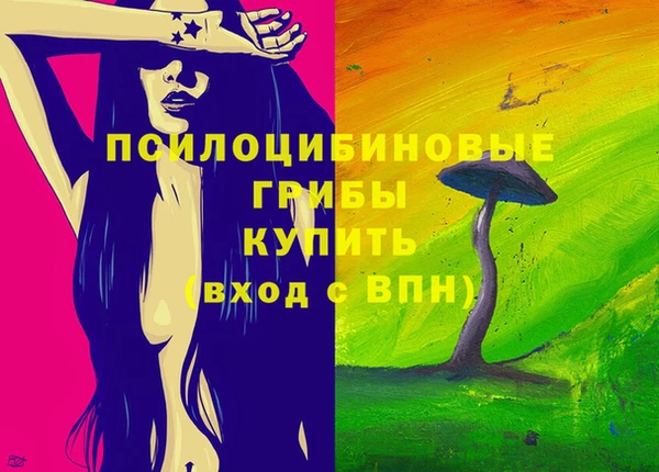 спиды Лиски