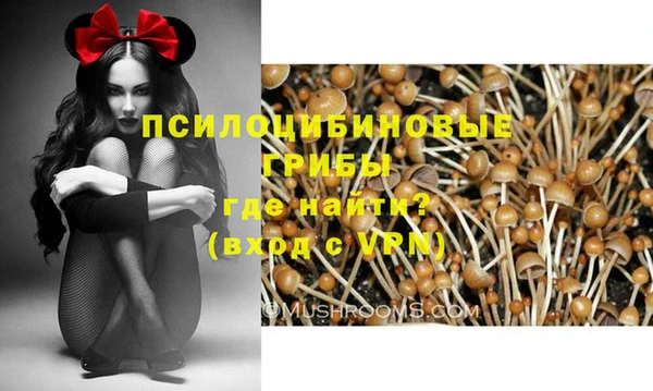 спиды Лиски