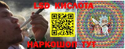 прущие грибы Донецк