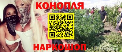 соль ск Будённовск