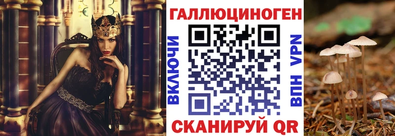 наркошоп  Родники  blacksprut ТОР  Псилоцибиновые грибы Psilocybine cubensis 