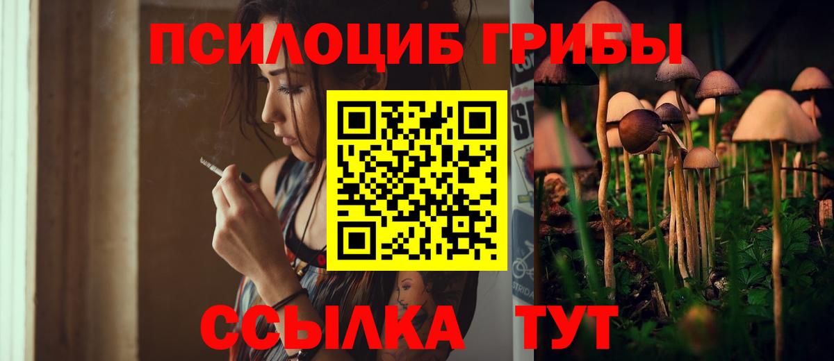 закладка  Вход с VPN  Родники  Псилоцибиновые грибы Psilocybe 