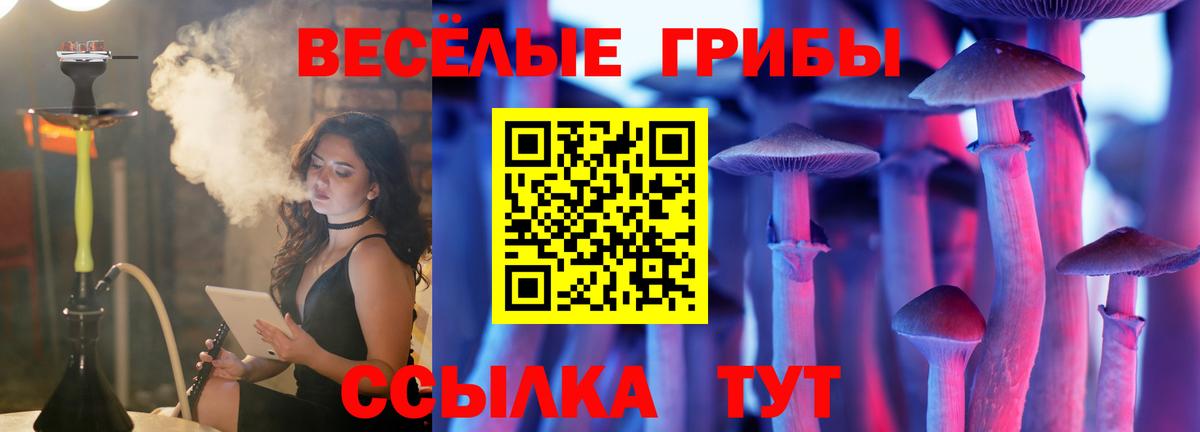 Псилоцибиновые грибы Psilocybine cubensis  Родники 